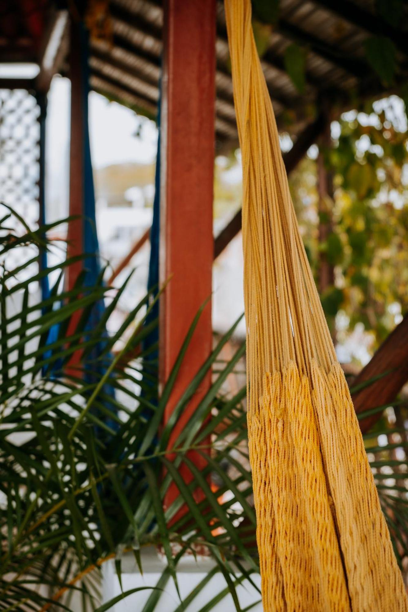 Terraza Puerto Hostel Puerto Escondido  Zewnętrze zdjęcie